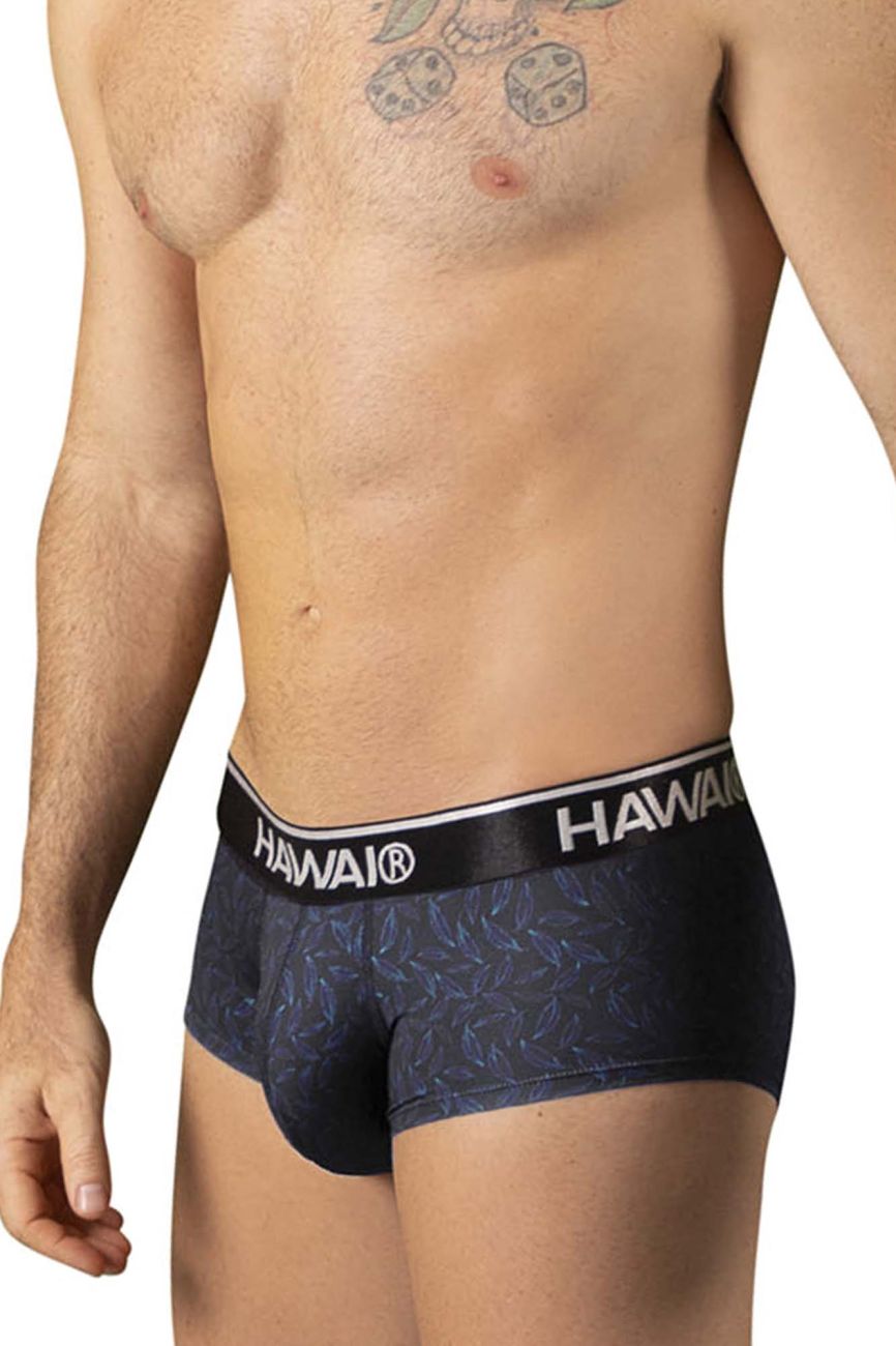 HAWAIR Men's Underwear 42380 Printed Briefs Color Black
