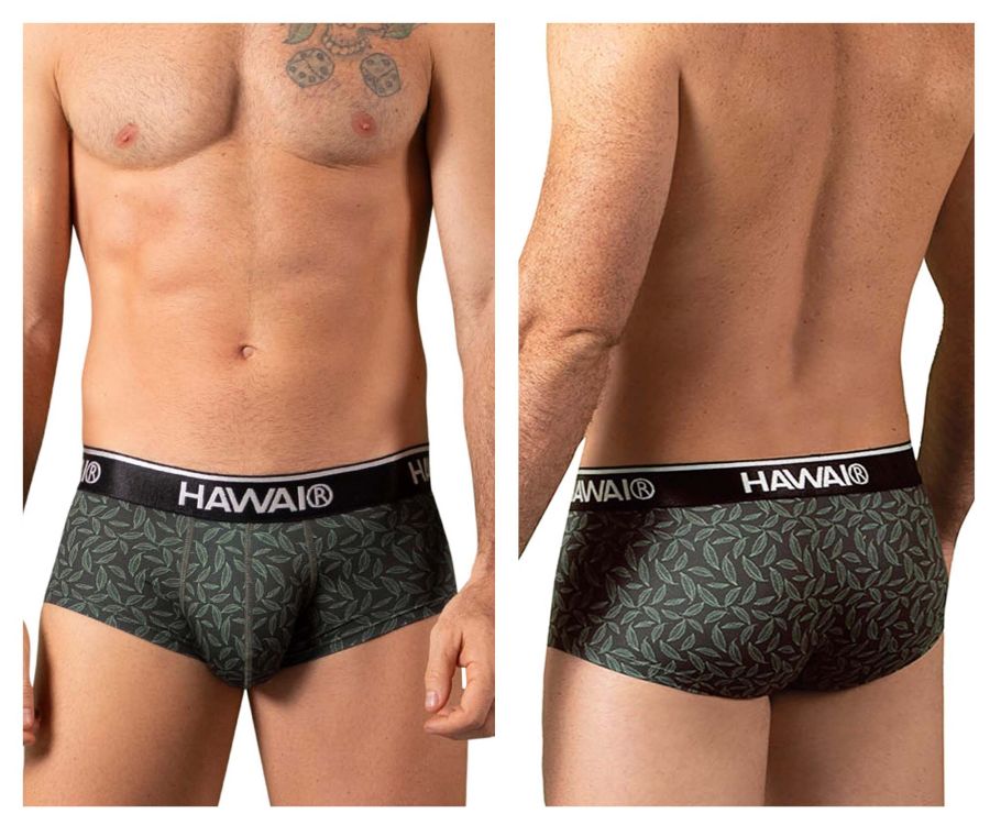 HAWAIR Men's Underwear 42380 Printed Briefs Color Green