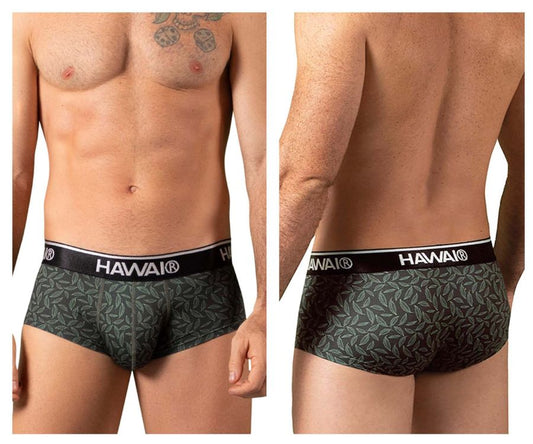 HAWAIR Men's Underwear 42380 Printed Briefs Color Green