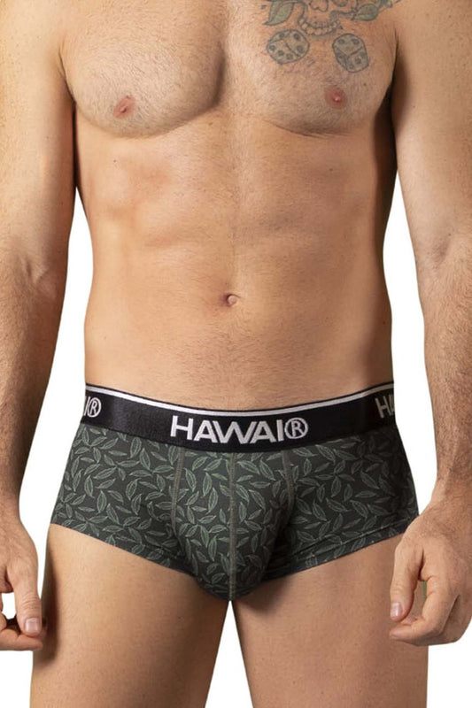 HAWAIR Men's Underwear 42380 Printed Briefs Color Green