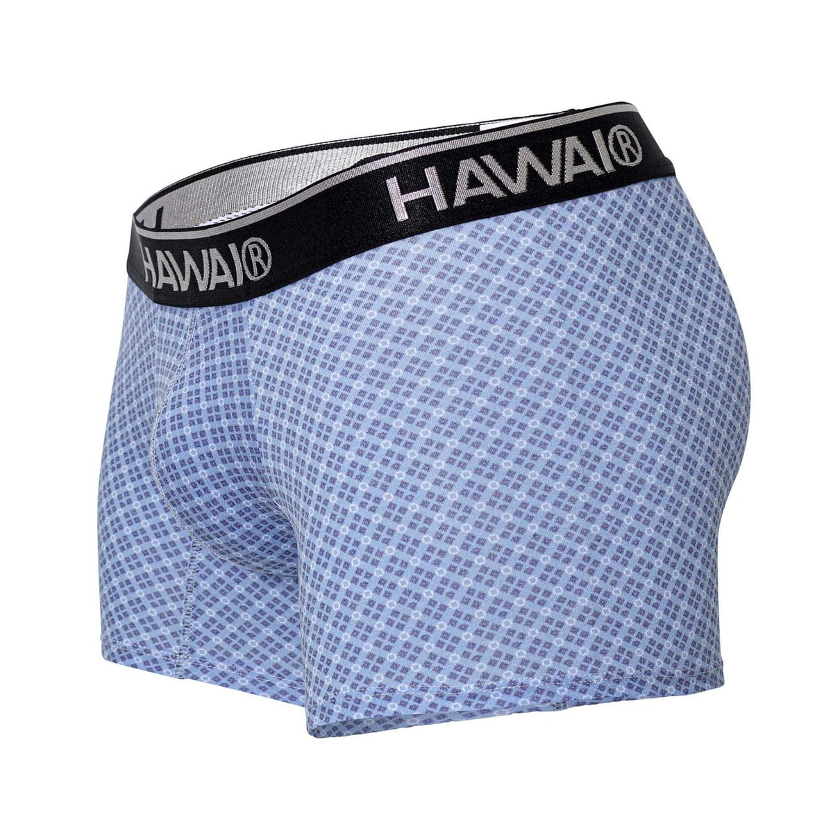 HAWAIR Printed Trunks - Blue