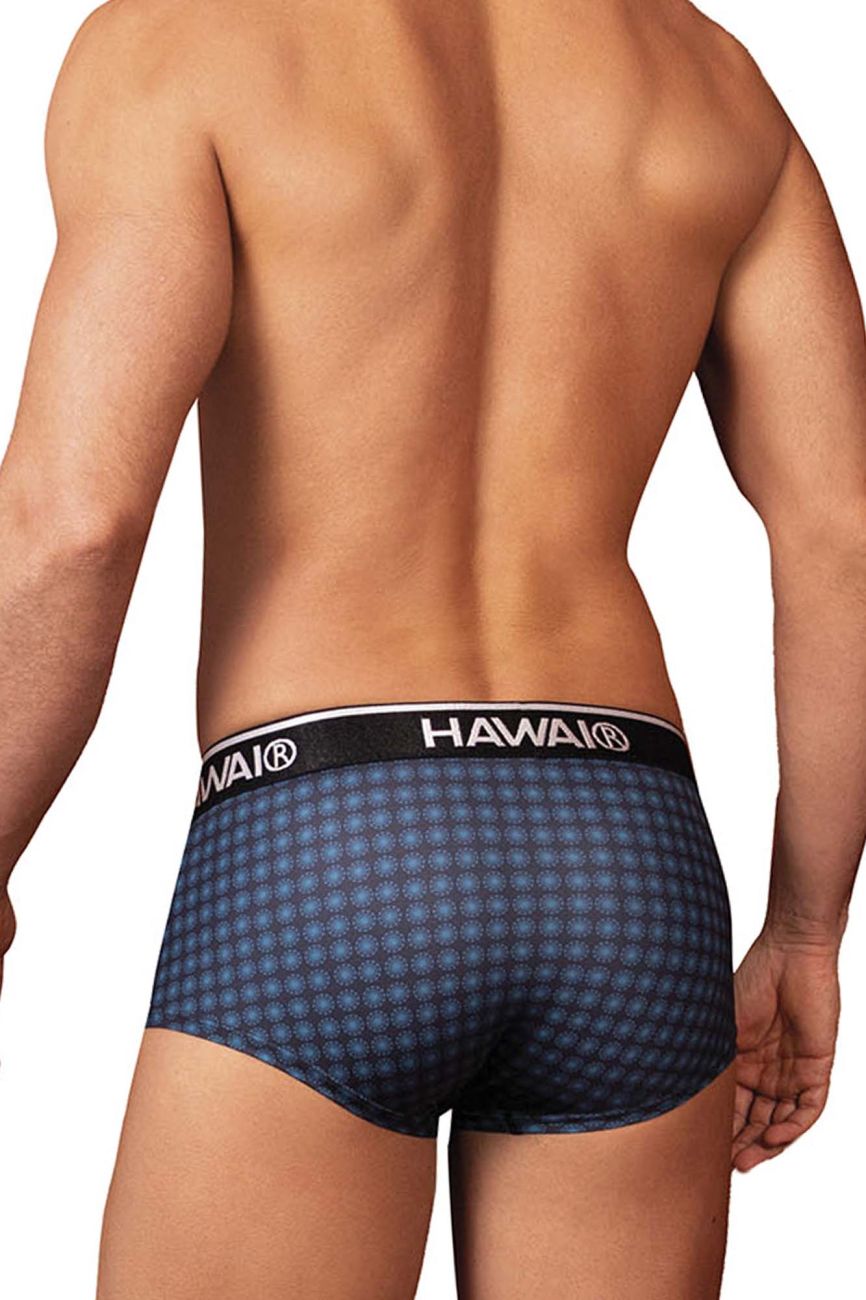 HAWAIR Men's Underwear 42430 Printed Briefs Color Blue