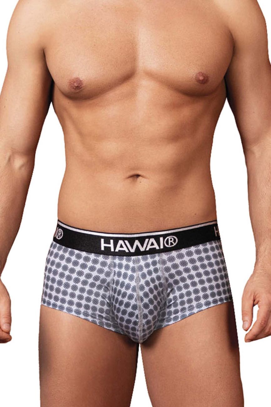 HAWAIR Men's Underwear 42430 Printed Briefs Color Gray