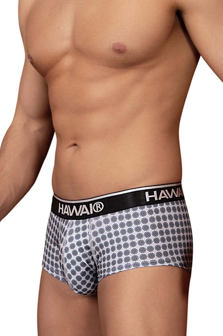 HAWAIR Men's Underwear 42430 Printed Briefs Color Gray