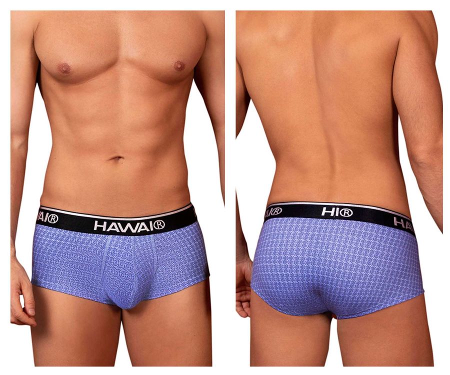 HAWAIR Printed Briefs - Blue