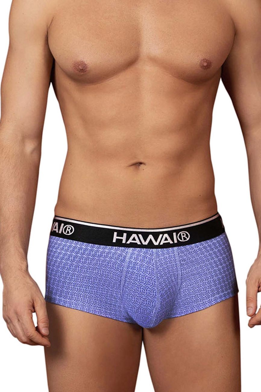 HAWAIR Men's Underwear 42431 Printed Briefs Color Blue