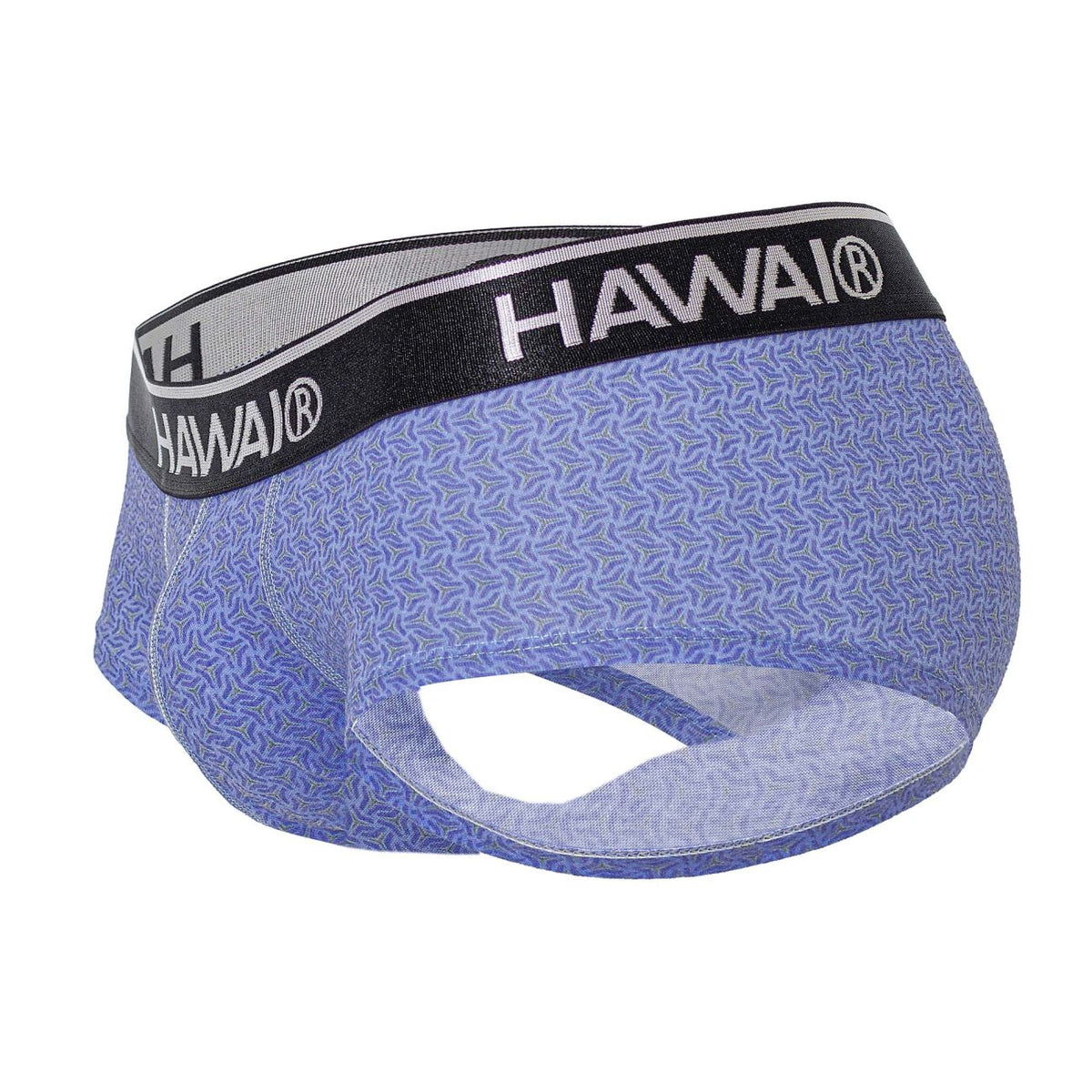 HAWAIR Printed Briefs - Blue