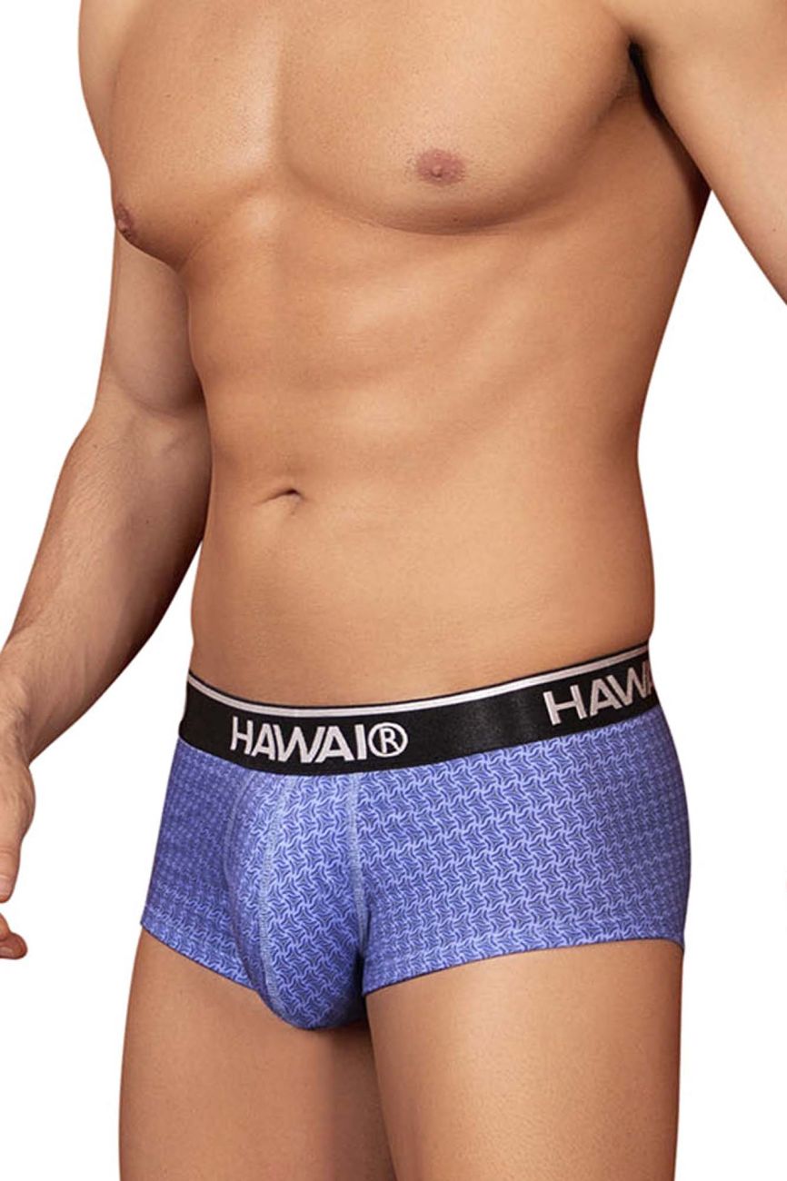 HAWAIR Men's Underwear 42431 Printed Briefs Color Blue