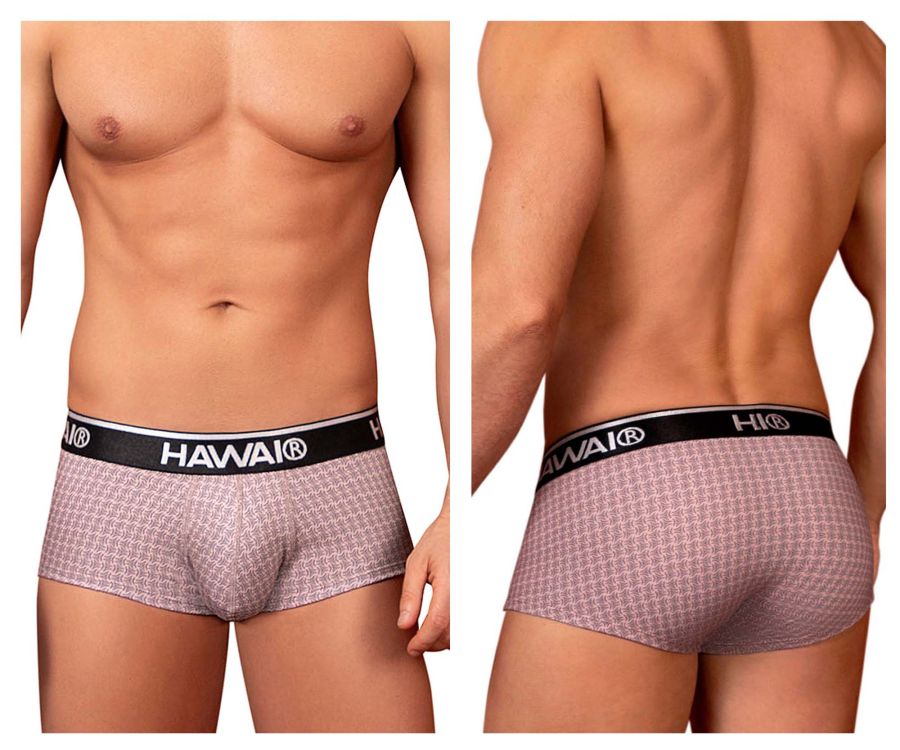HAWAIR Men's Underwear 42431 Printed Briefs Color Cocoa