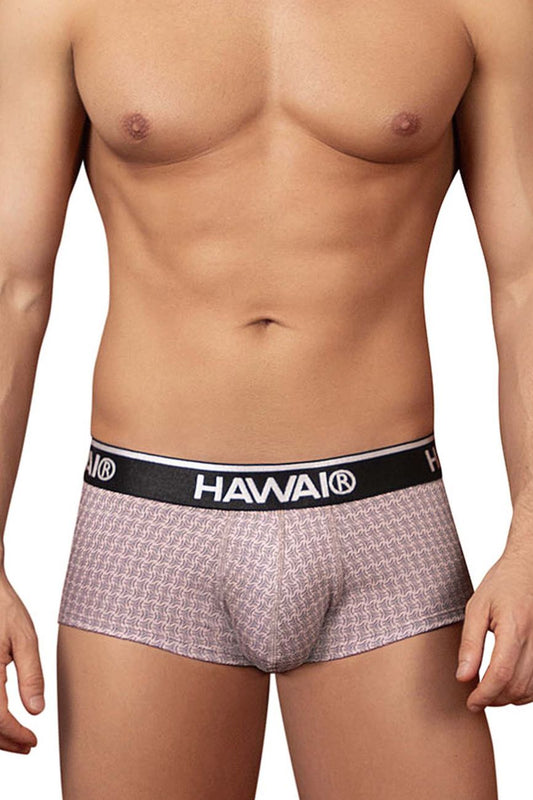 HAWAIR Men's Underwear 42431 Printed Briefs Color Cocoa