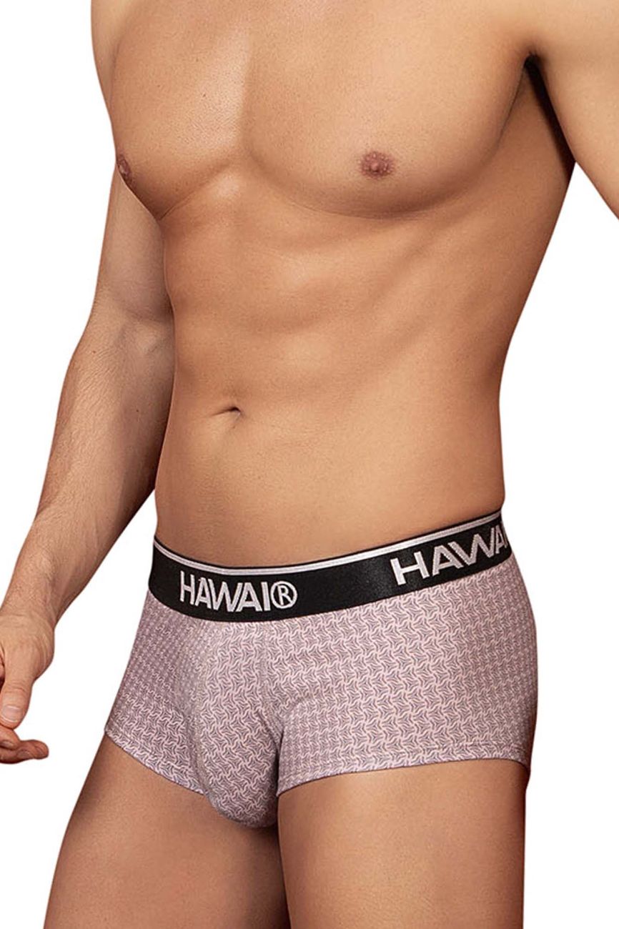 HAWAIR Men's Underwear 42431 Printed Briefs Color Cocoa