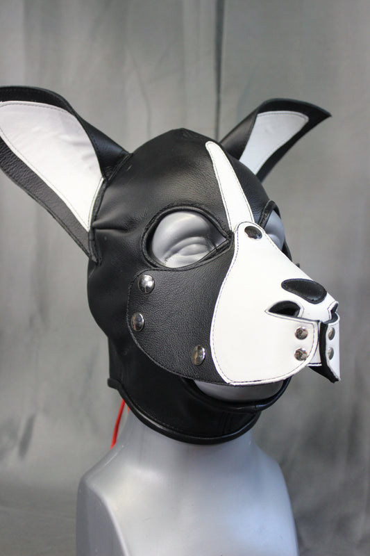 Boston Terrier Whole Head Pup Hood - front view