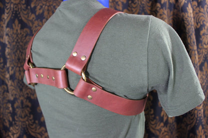 Classic Latigo Bulldog Harness with Snaps - view 3