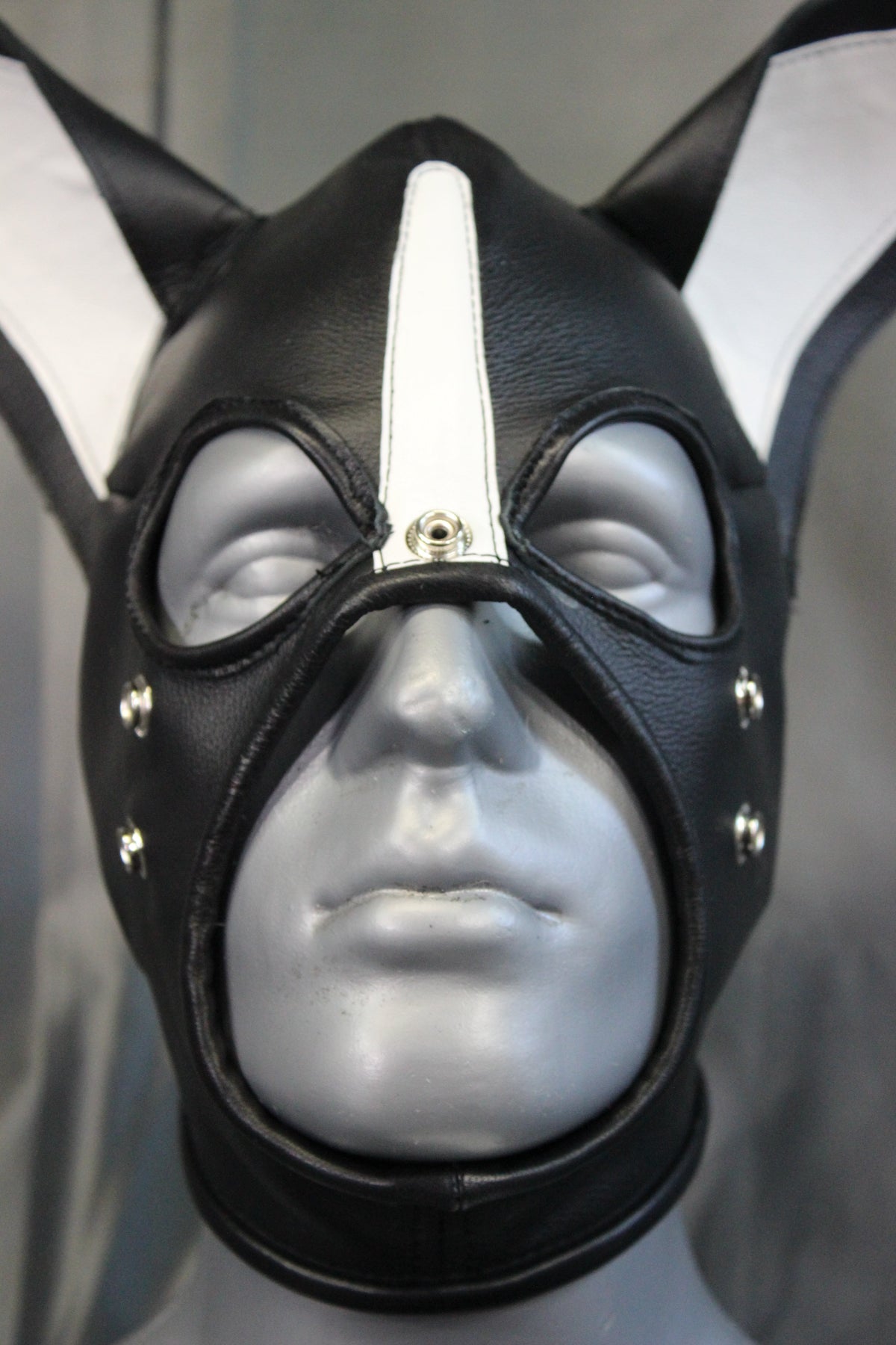 Boston Terrier Whole Head Pup Hood - view 6