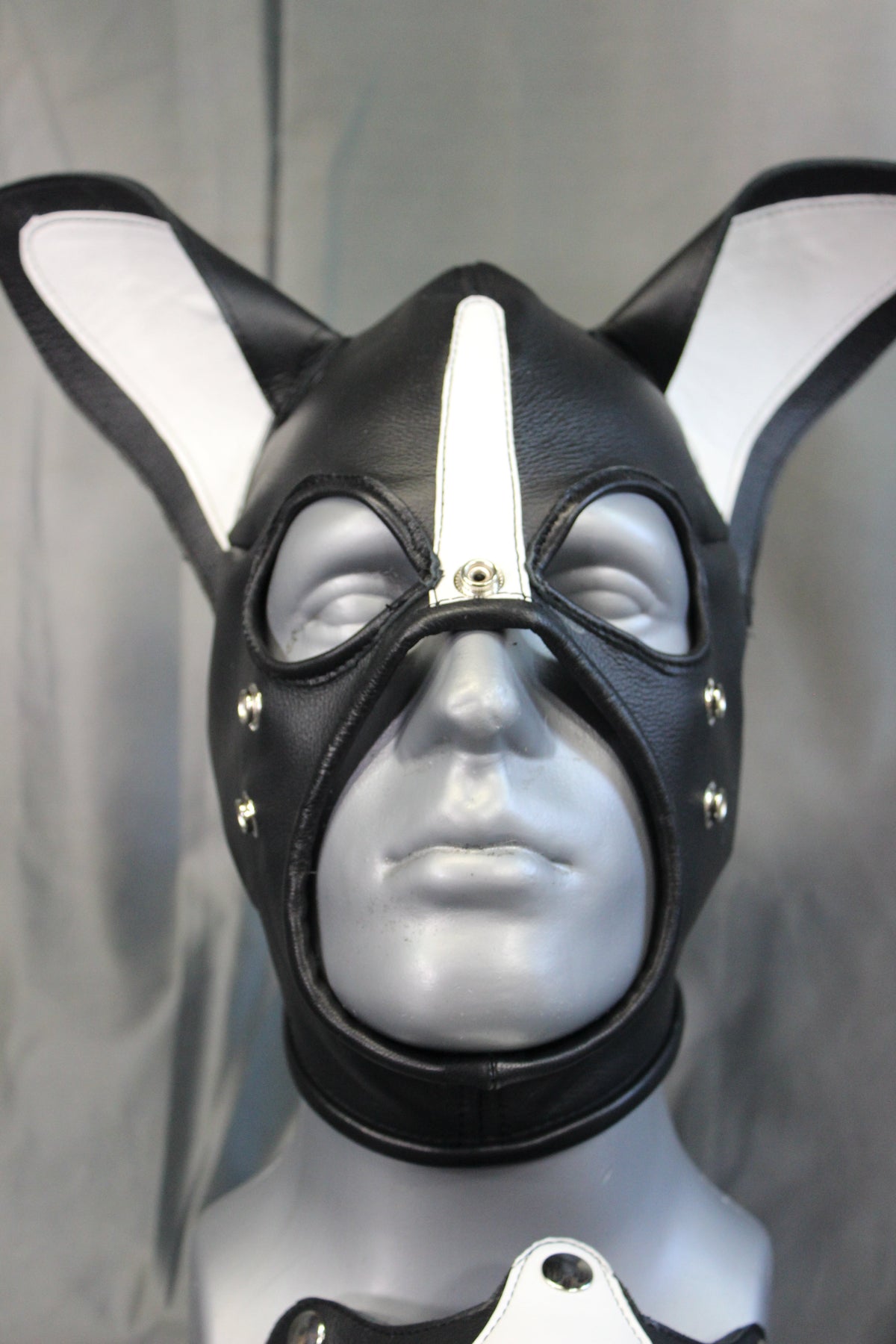 Boston Terrier Whole Head Pup Hood - view 7