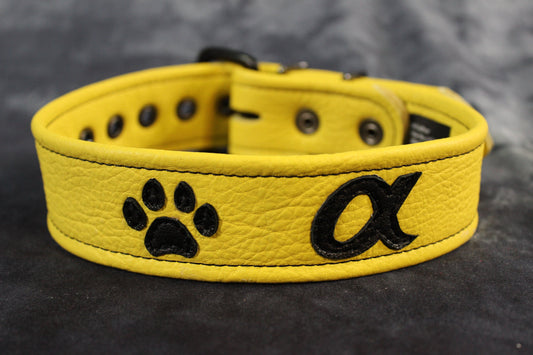 Alpha Pup Buckled Armband - front view