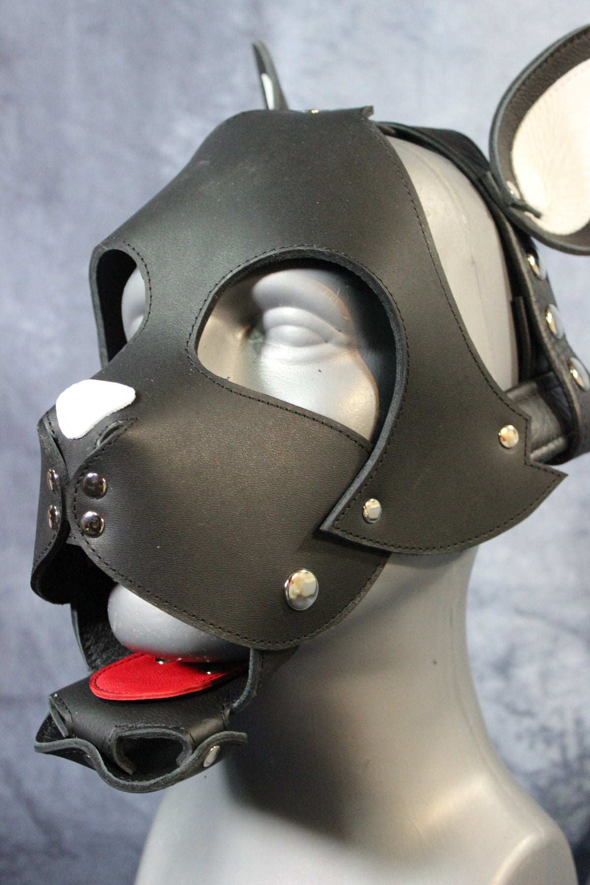Kitten Hood - view 15