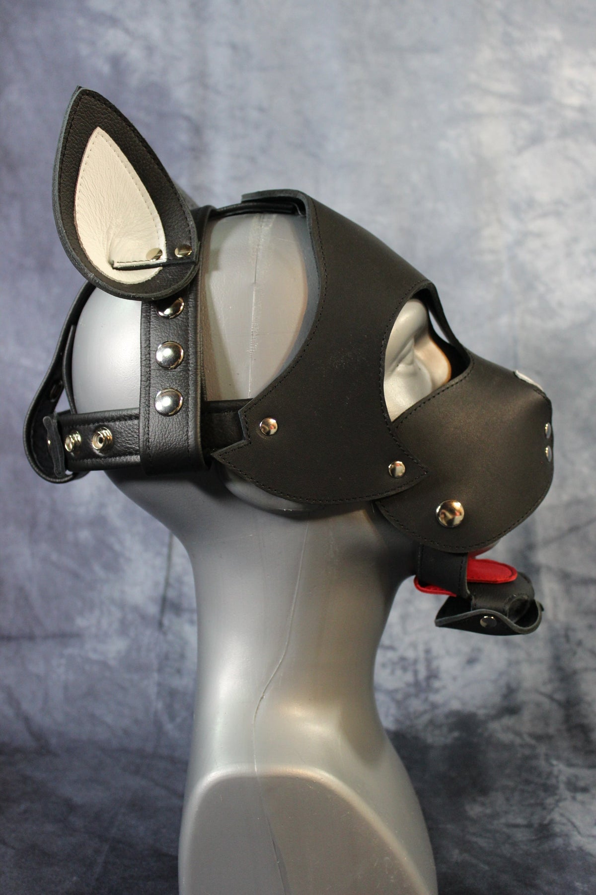Kitten Hood - view 16