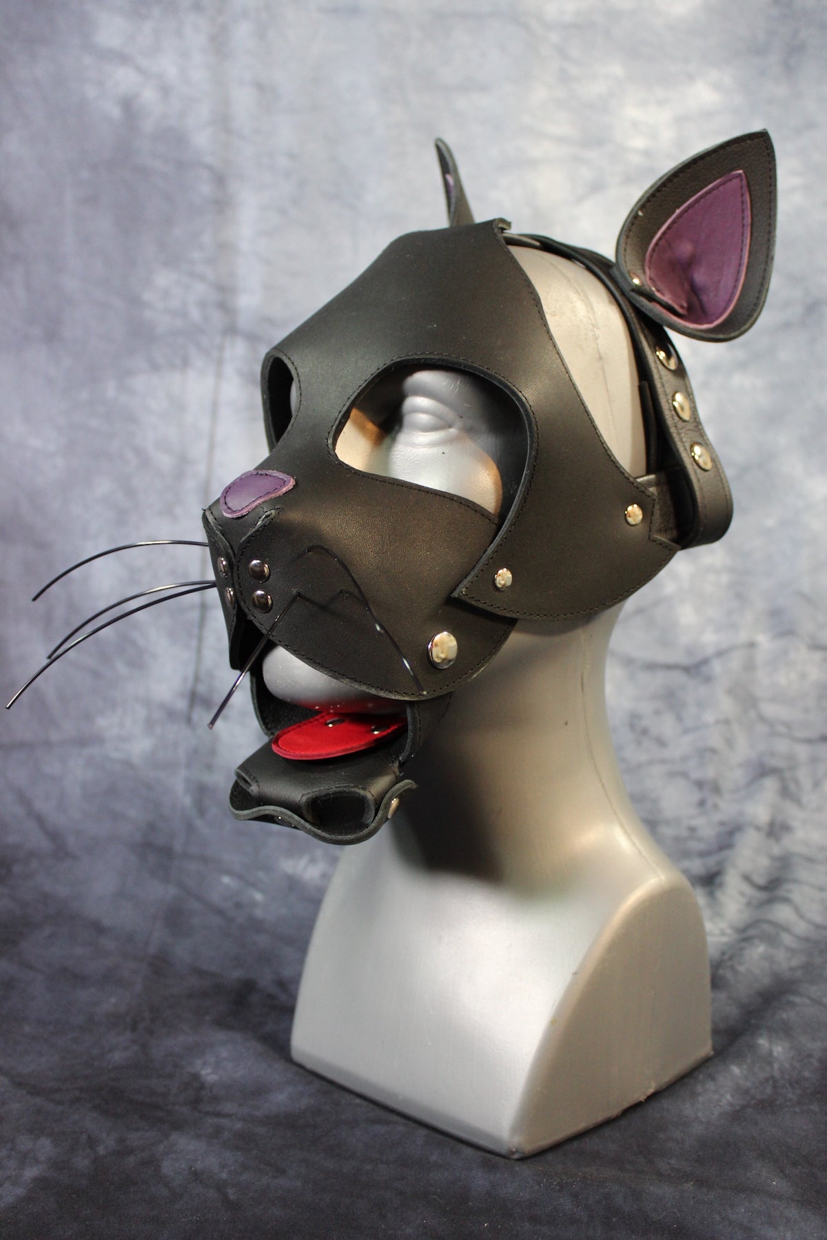 Kitten Hood - view 5