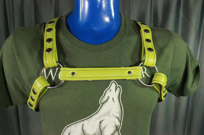 Combo Harness - Half Bulldog / Half X Harness - front view
