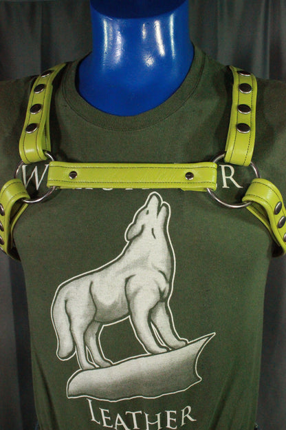Combo Harness - Half Bulldog / Half X Harness - view 2