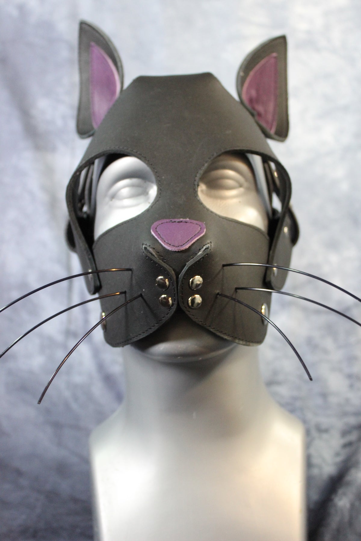 Kitten Hood - view 3