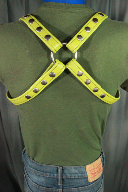 Combo Harness - Half Bulldog / Half X Harness - view 4