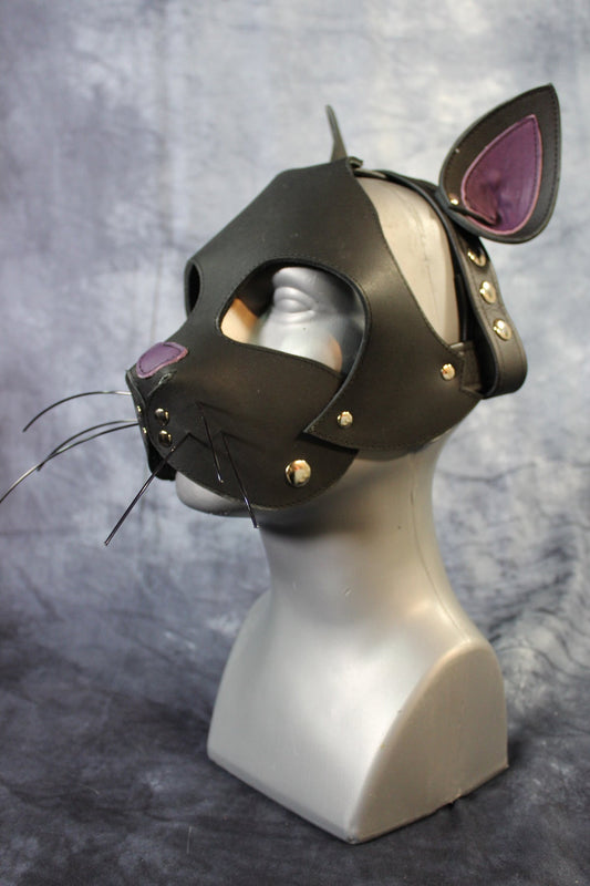 Kitten Hood - front view