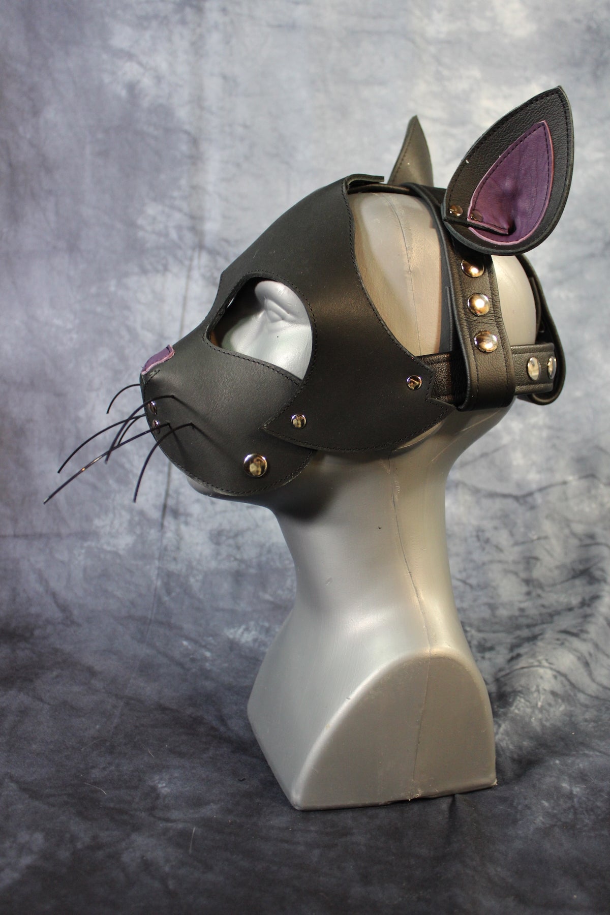 Kitten Hood - view 2