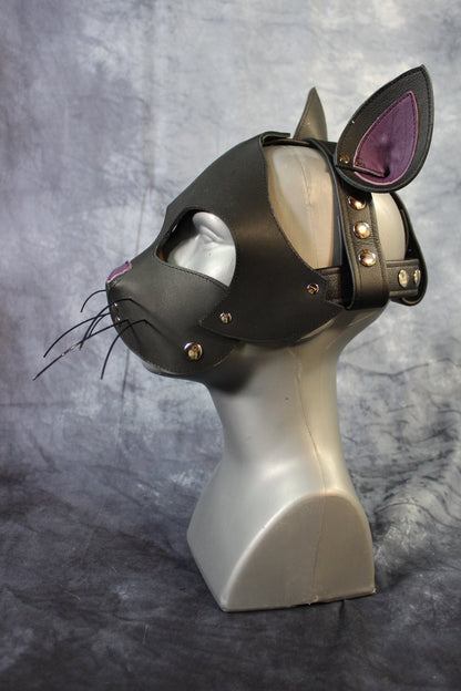 Kitten Hood - view 2