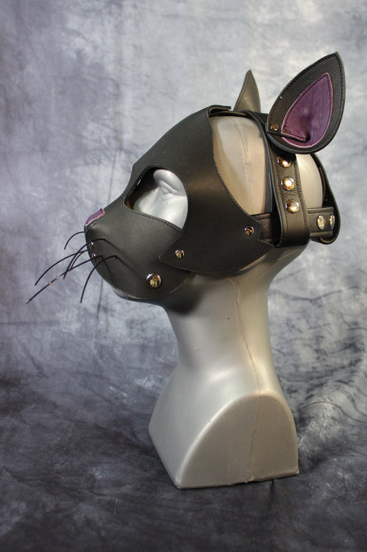 Kitten Hood - view 2