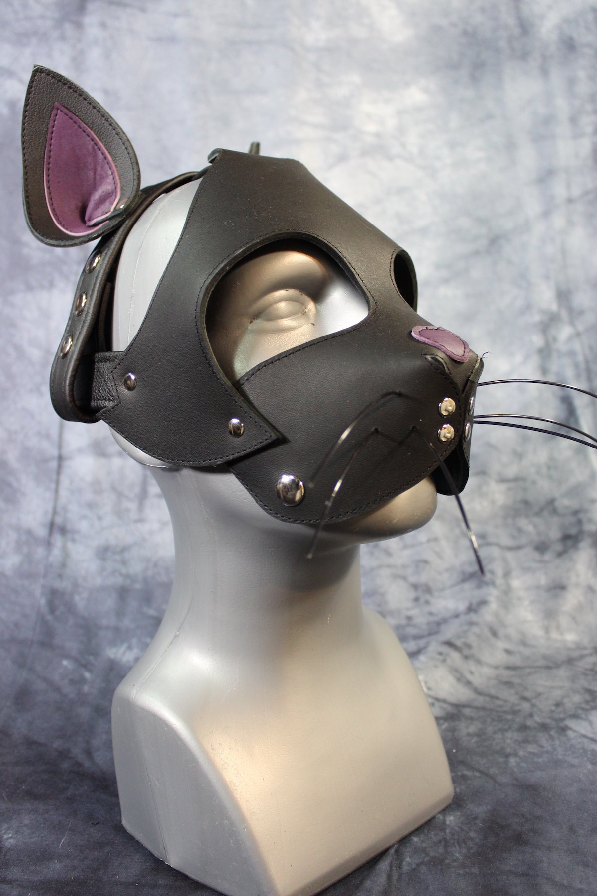 Kitten Hood - view 4