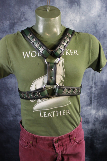 420 Extended X Harness - front view