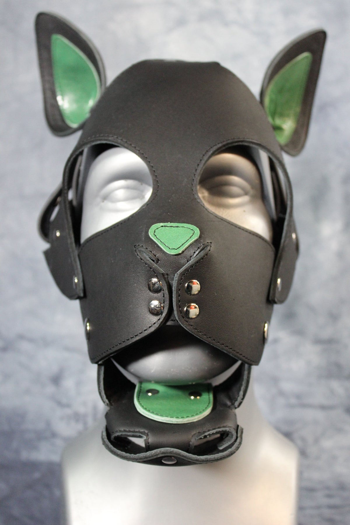 Kitten Hood - view 18