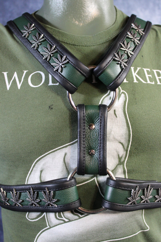 420 Extended X Harness - view 2
