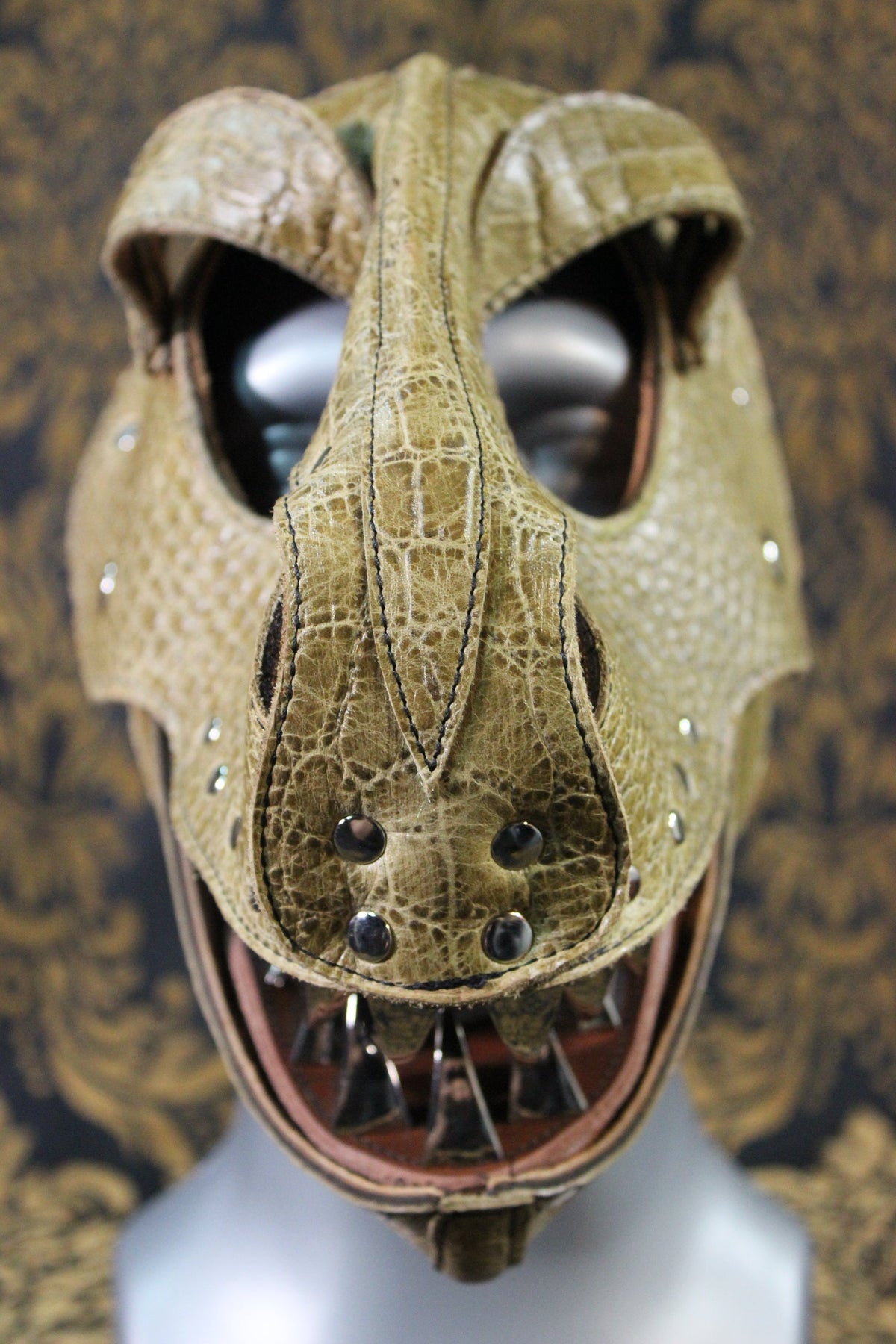 T-Rex Hood - view 4