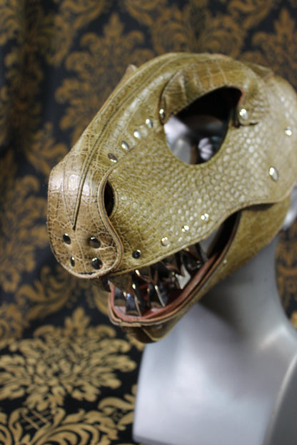 T-Rex Hood - view 5