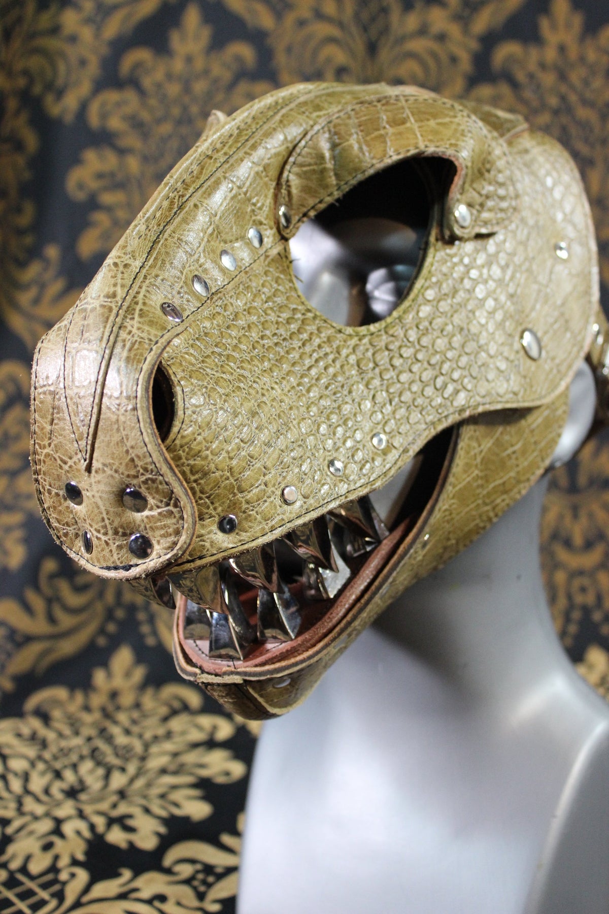 T-Rex Hood - view 6