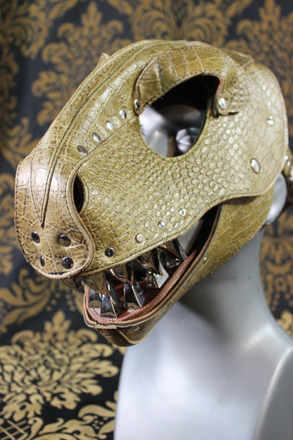 T-Rex Hood - view 6