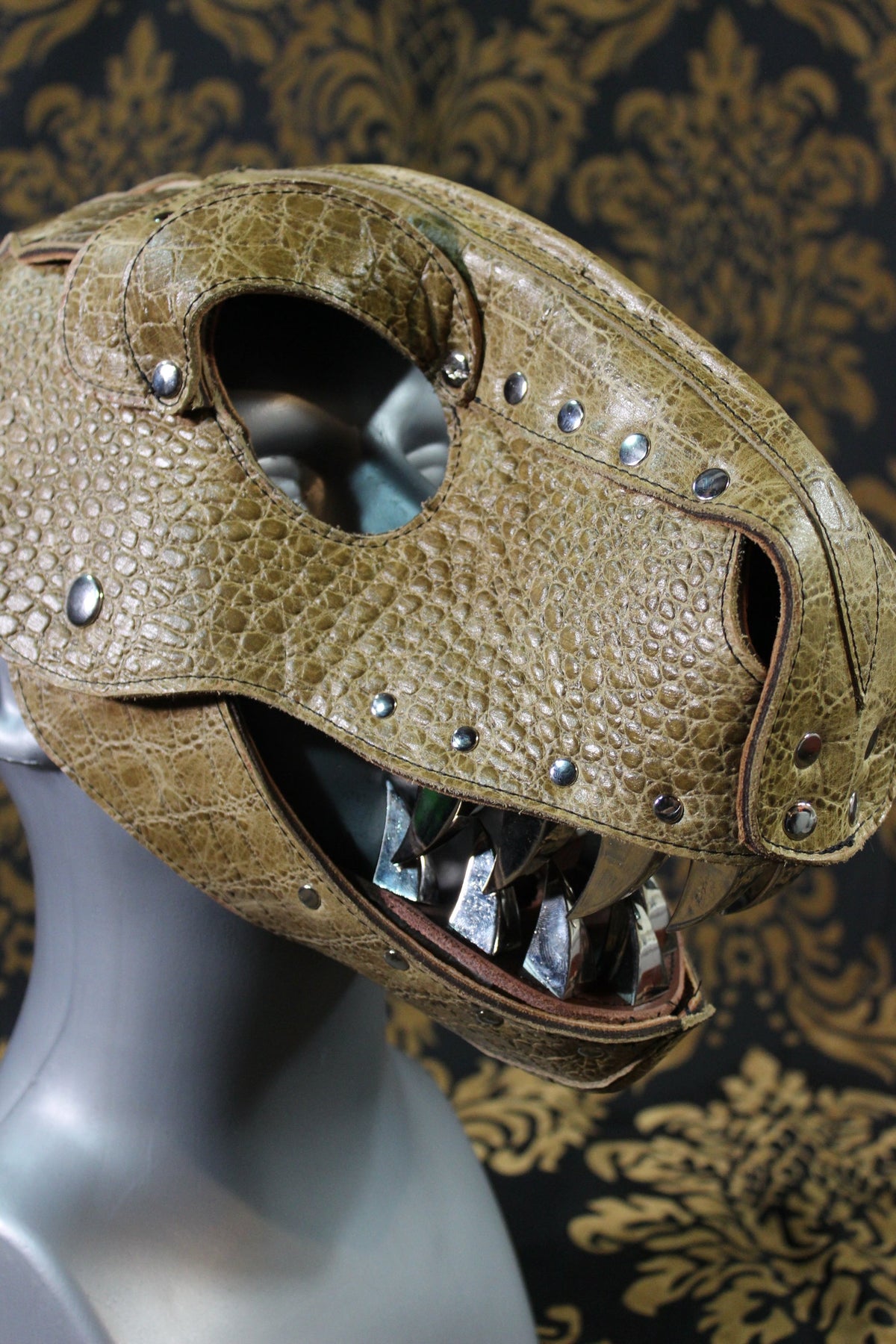 T-Rex Hood - front view