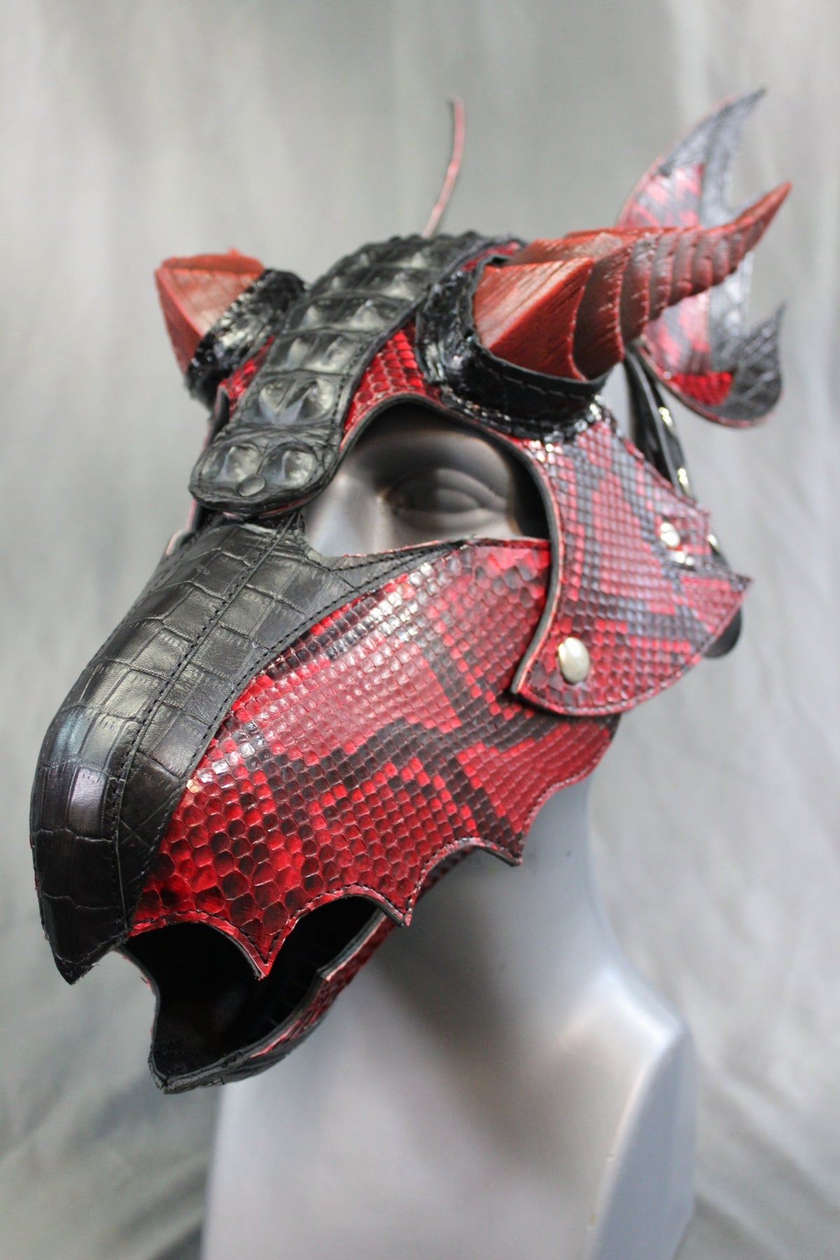 The Mythical FIRE DRAGON - view 11