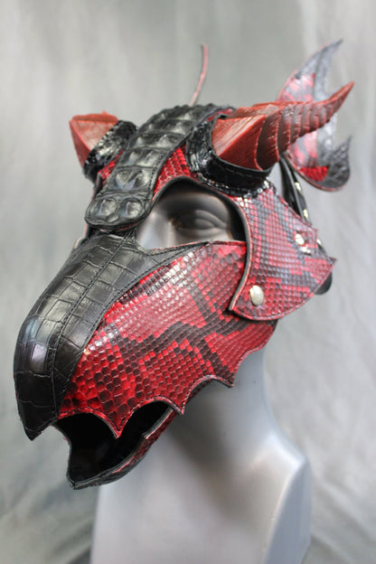 The Mythical FIRE DRAGON - view 11