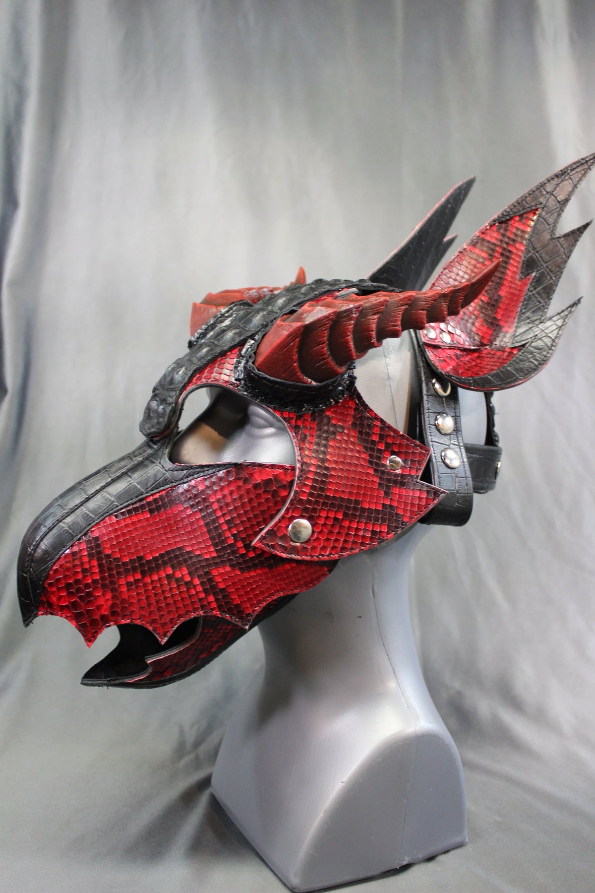 The Mythical FIRE DRAGON - view 13