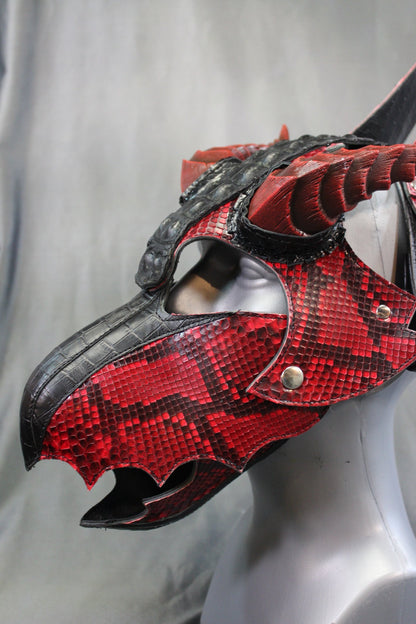 The Mythical FIRE DRAGON - view 14