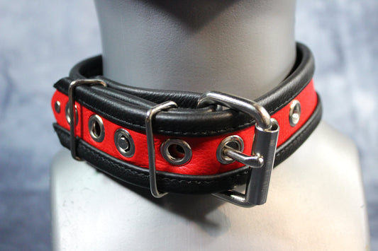 Locking Two-Tone Collar - Recessed Stripe Construction - front view