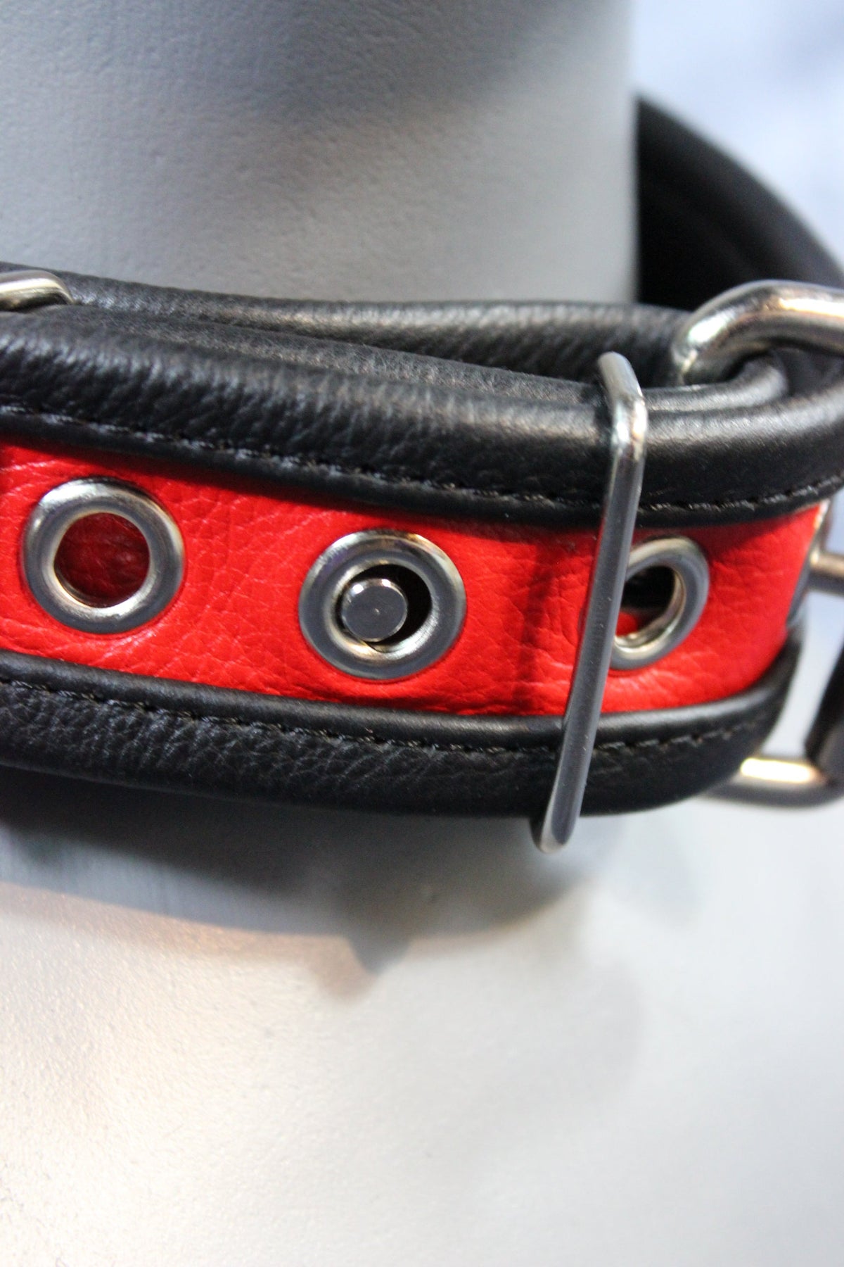 Locking Two-Tone Collar - Recessed Stripe Construction - view 4