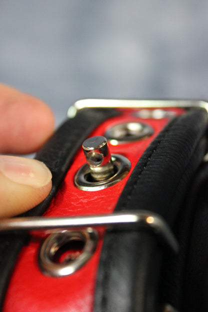 Locking Two-Tone Collar - Recessed Stripe Construction - view 7