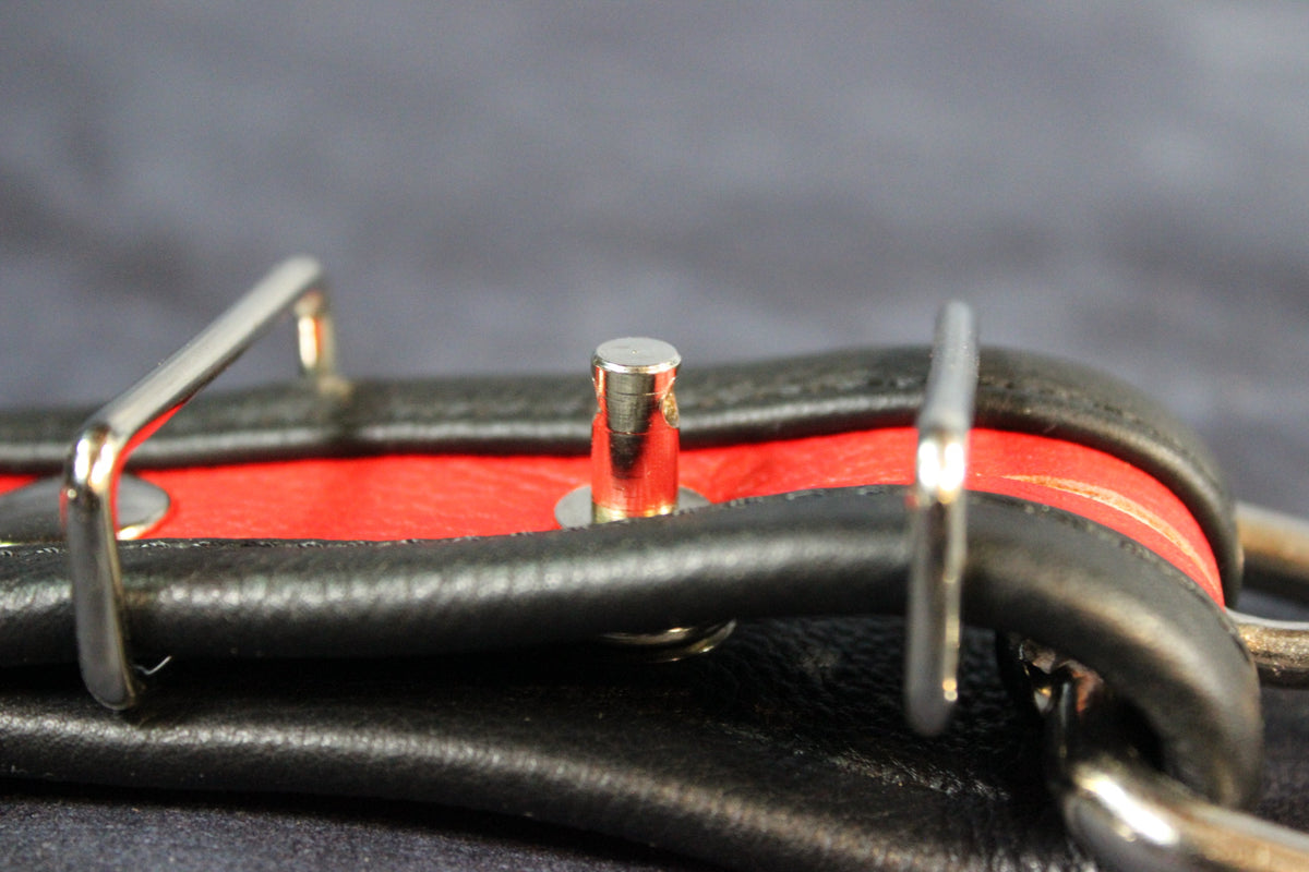 Locking Two-Tone Collar - Recessed Stripe Construction - view 8