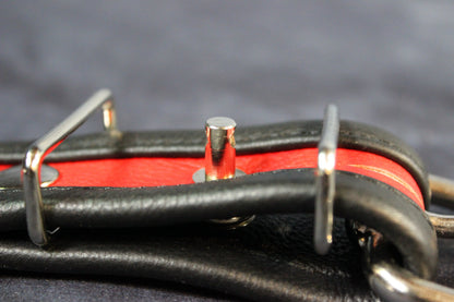 Locking Two-Tone Collar - Recessed Stripe Construction - view 8