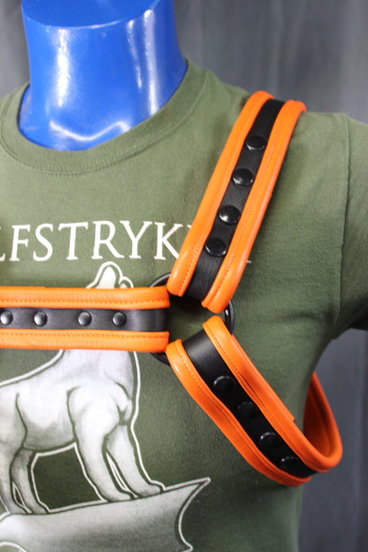 Black and Orange Bulldog Harness and Jock Combo! - view 8